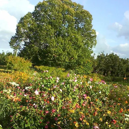 Calme Avec Piscine Chauffee, Cheminee, Salle De Jeux Et Velos - Parfait Pour Familles Et Amis - Fr-1-410-141 Дом отдыха *
