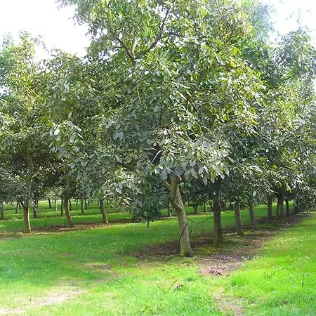 Calme Avec Piscine Chauffée, Cheminée, Salle De Jeux Et Vélos - Parfait Pour Familles Et Amis - Fr-1-410-141 La Chapelle-aux-Choux