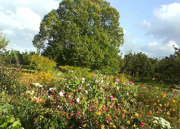 Calme Avec Piscine Chauffée, Cheminée, Salle De Jeux Et Vélos - Parfait Pour Familles Et Amis - Fr-1-410-141 Hébergement de vacances *