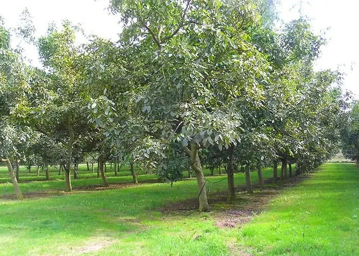 Calme Avec Piscine Chauffée, Cheminée, Salle De Jeux Et Vélos - Parfait Pour Familles Et Amis - Fr-1-410-141 La Chapelle-aux-Choux